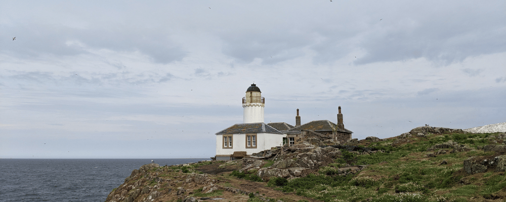 Apply to become a Young Bird Observatory Volunteer