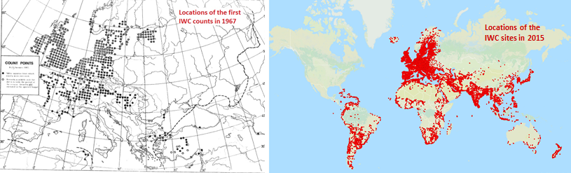 Map of International Waterbird Census sites in 1967 and 2015