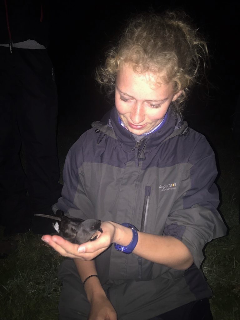 Kate holding a ringed Storm Petrel. 