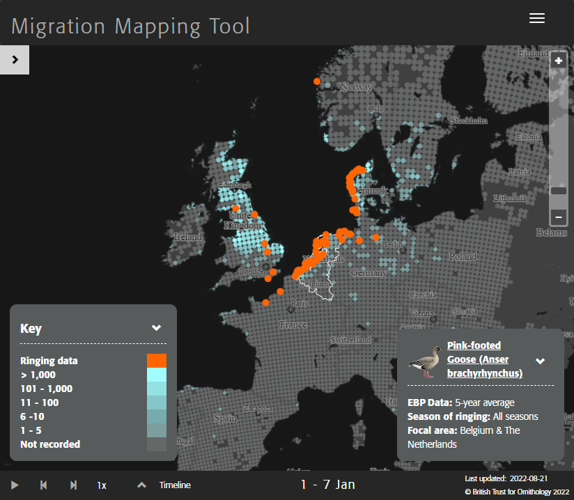 Migration Mapping Tool - Pink-footed Goose
