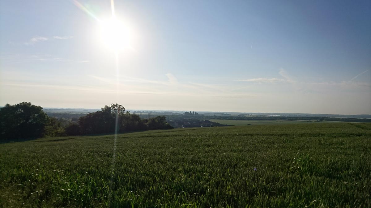 Agricultural land, Cambridgeshire. Ailidh Barnes