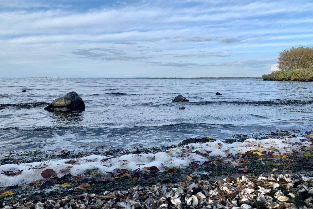 The southern shores of Lough Neagh, Oxford Island. Sorrel Lyall