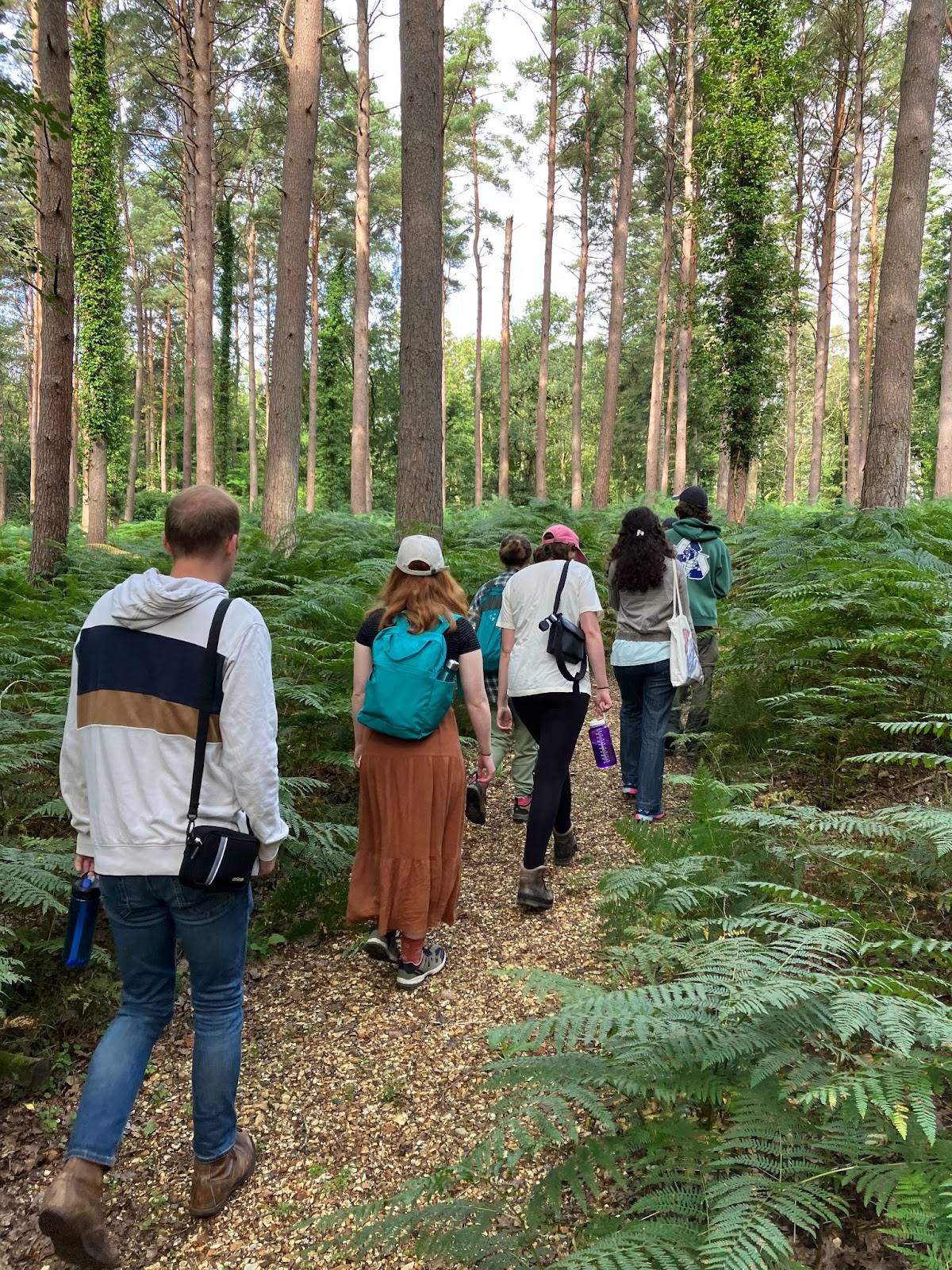 The Young Leaders Course attendees walking along a footpath in the New Forest, surrounded by bracken and tall trees.