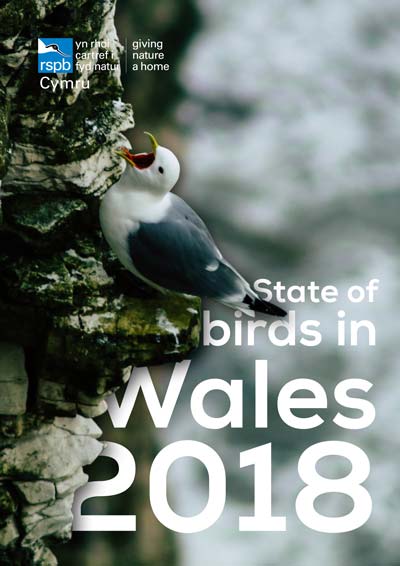 State of Birds in Wales 2018 cover