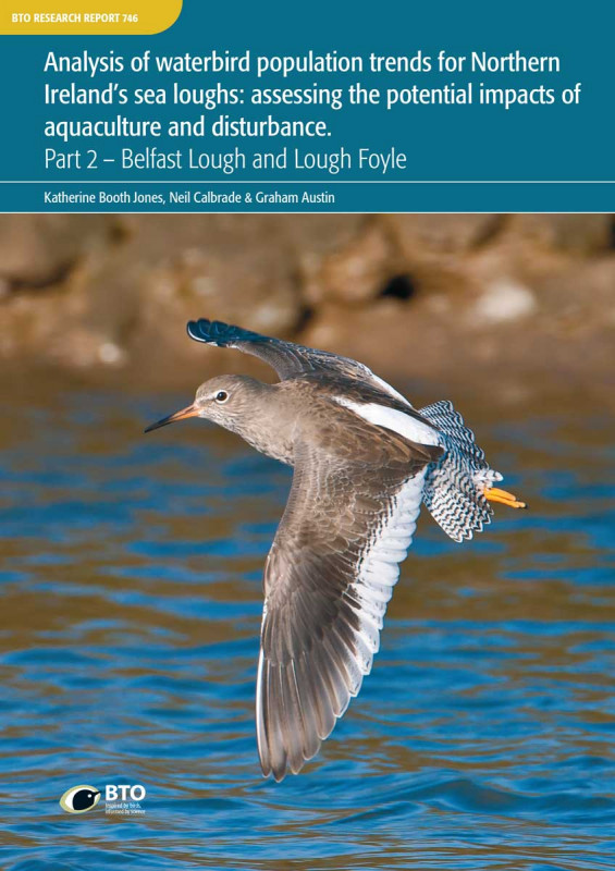 BTO Research Report 746 cover
