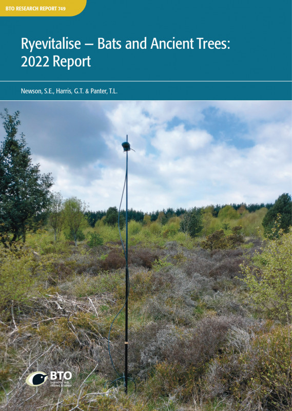 BTO Research Report 749 cover