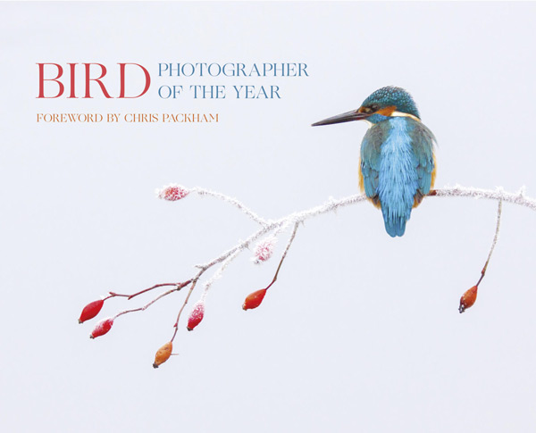 Bird Photographer of the Year 2017 cover