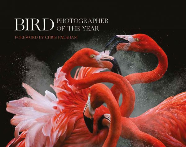 Bird Photographer of the Year 2018 cover