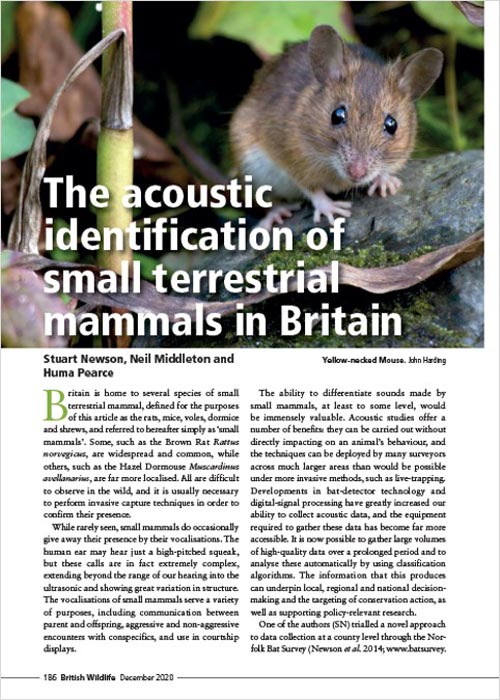 British Wildlife 32 Small Mammals article cover