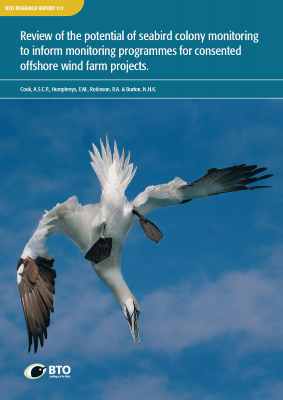 BTO Research Report 712 cover