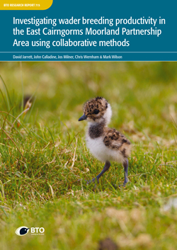 BTO Research Report 715 cover