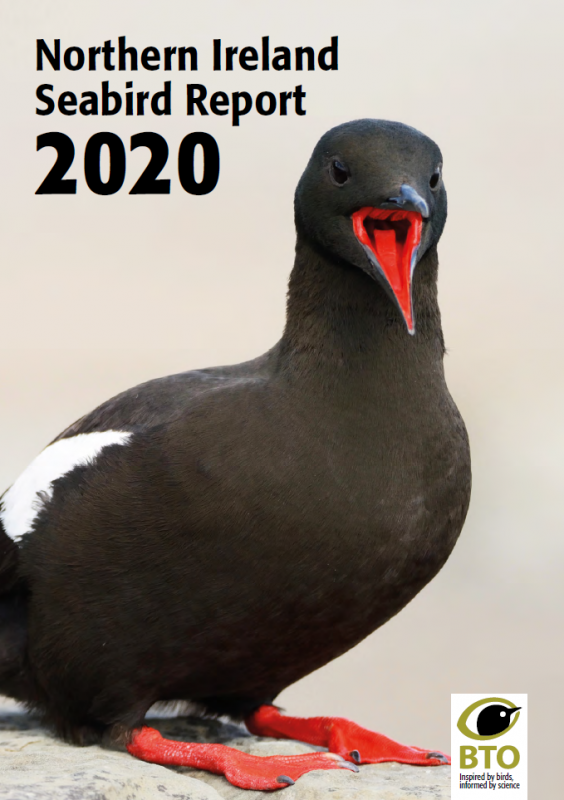 Northern Ireland Seabird Report 2020 cover