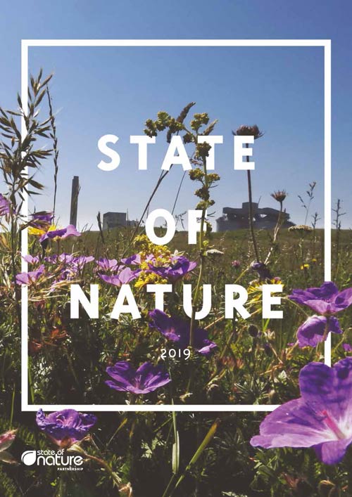 State of Nature 2019 Report UK cover