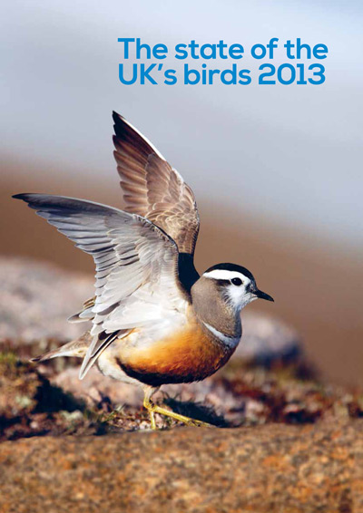 State of UK Birds 2013 cover