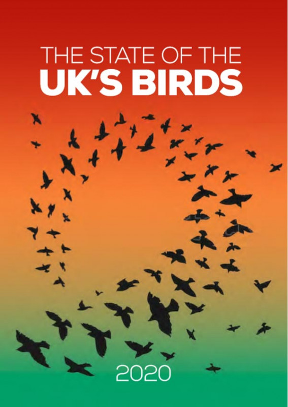 The State of the UK's Birds 2020 cover
