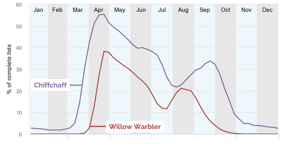 The BirdTrack reporting rate for Chiffchaff and Willow Warbler reflects these species' different peak autumn passage times. See text for details.