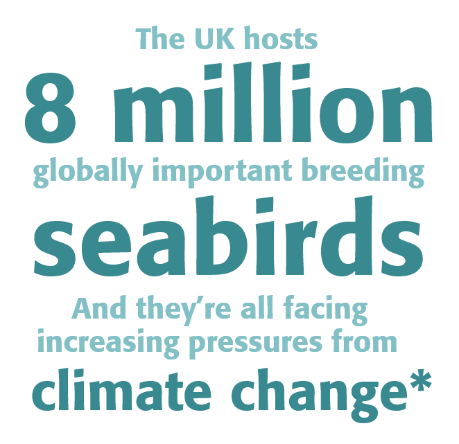 The UK hosts 8 million globally important breeding seabirds and they're all facing increasing pressures from climate change