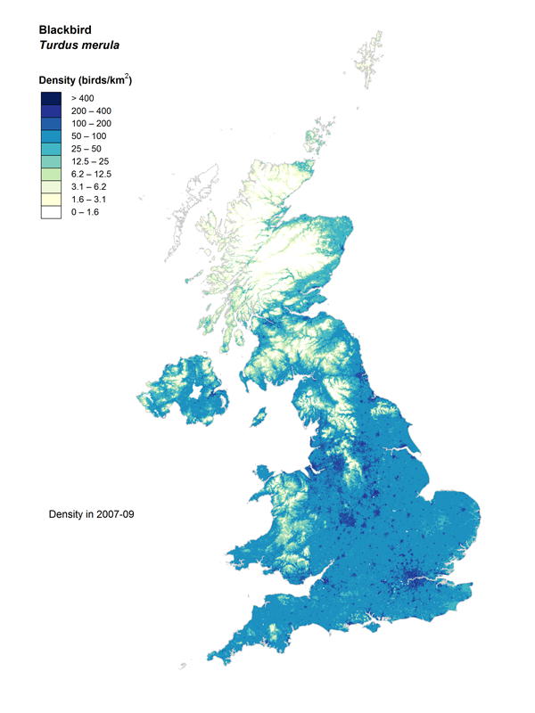 Blackbird population density map