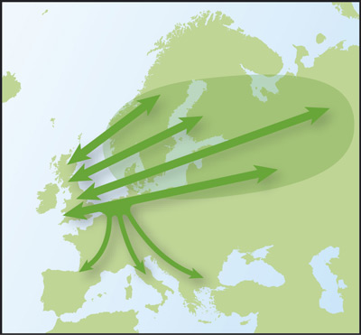 Starling migration routes. Graphic © BTO