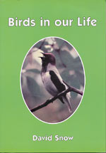 Birds in our life