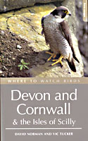 Where to Watch Birds: Devon and Cornwall & the Isles of Scilly