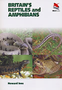 Britain’s Reptiles and Amphibians