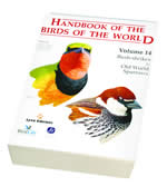 Handbook of the Birds of the World (volume 14 Bush-shrikes to Old World Sparrows