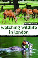 Watching Wildlife in London 