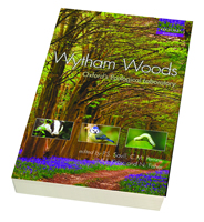 Wytham Woods: Oxford’s Ecological Laboratory