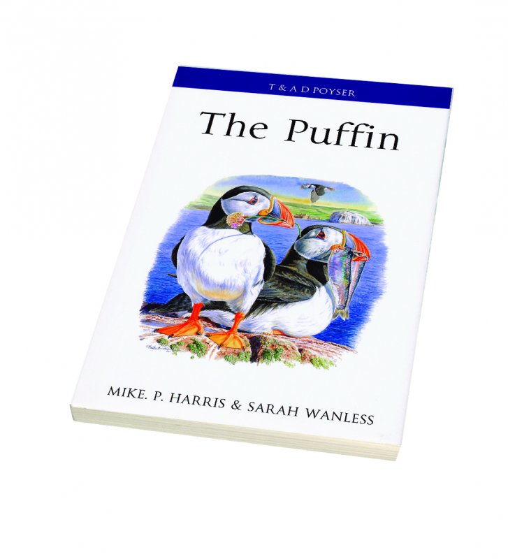 The Puffin