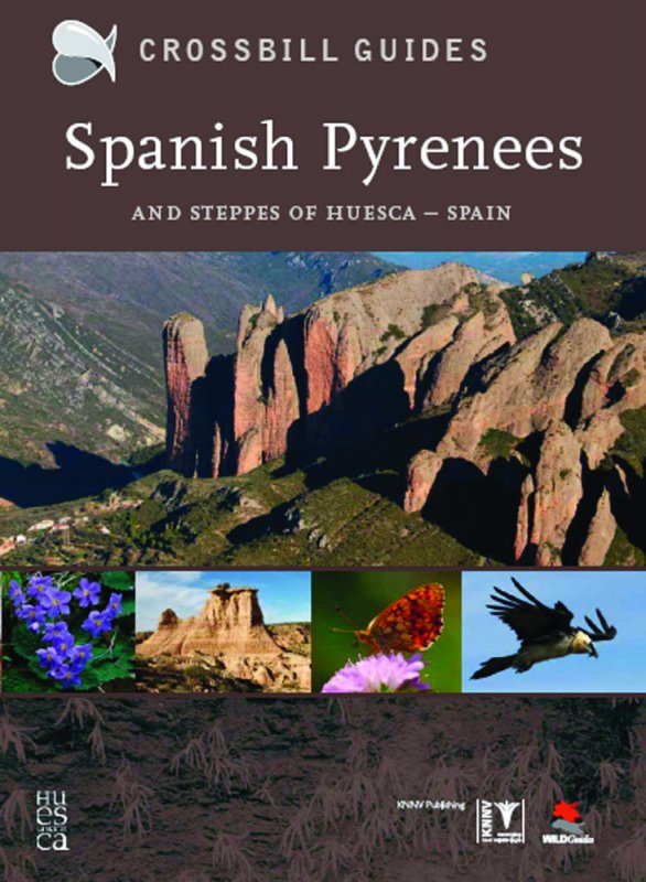 Spanish Pyrenees – and steppes of Huesca, Spain.