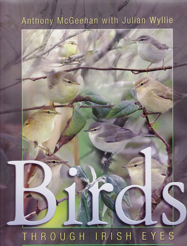 Birds: through Irish eyes