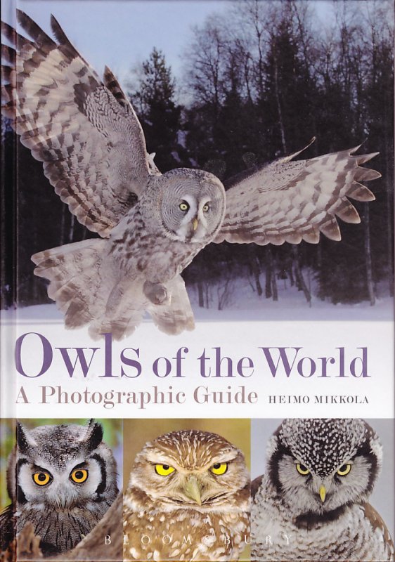 Owls of the world: a photographic guide
