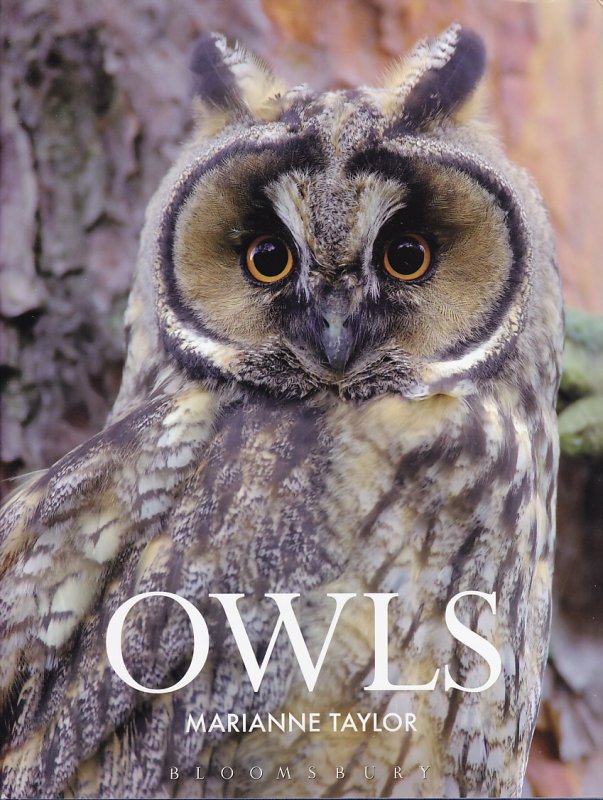 Owls