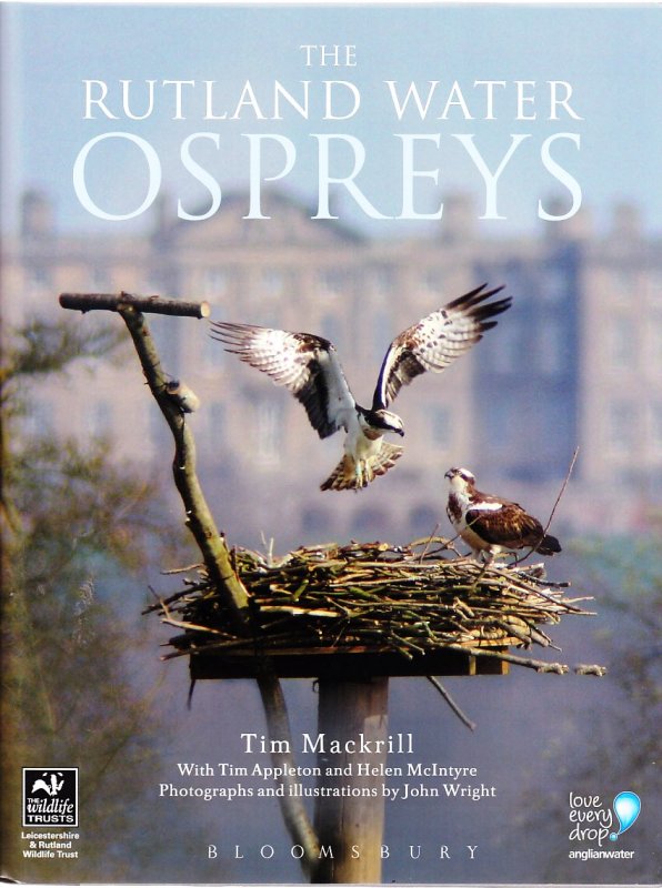 The Rutland Water Ospreys BTO British Trust for Ornithology