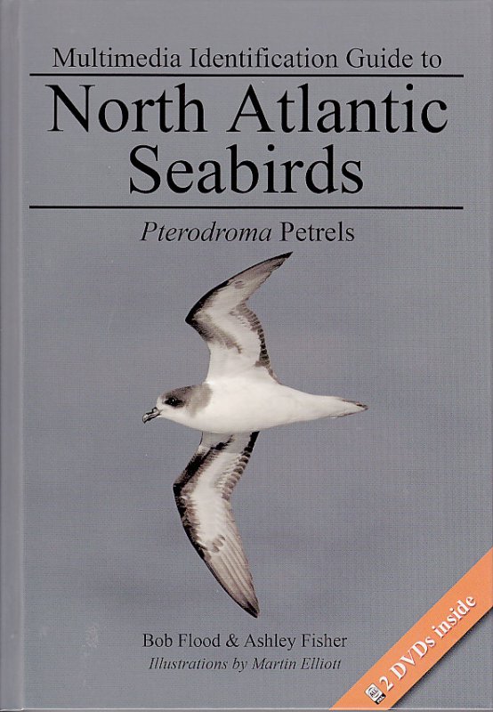 Multimedia Identification Guide to North Atlantic Seabirds: Pterodroma Petrels (