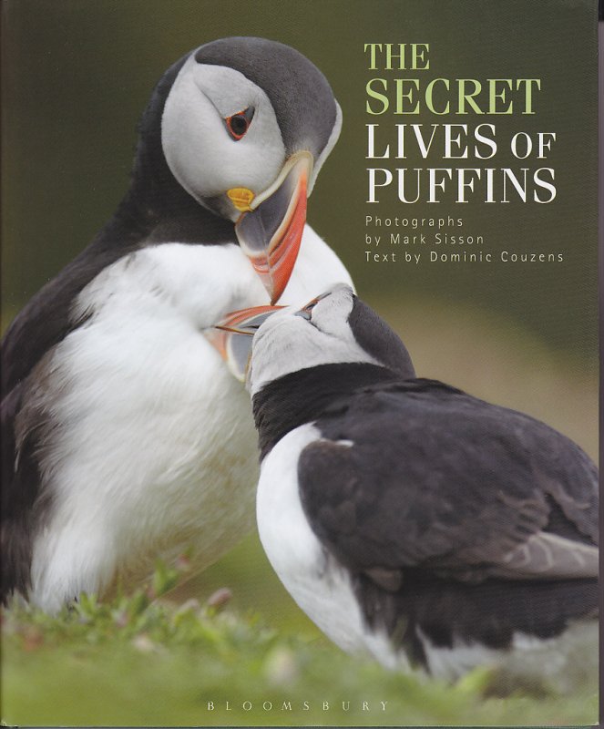 The Secret Lives of Puffins by Dominic Couzens & Mark Sisson