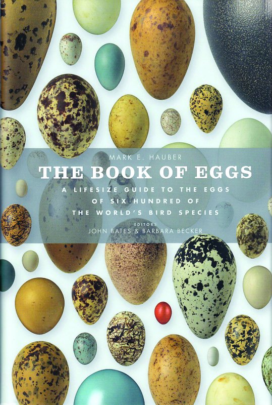 THE BOOK OF EGGS 
