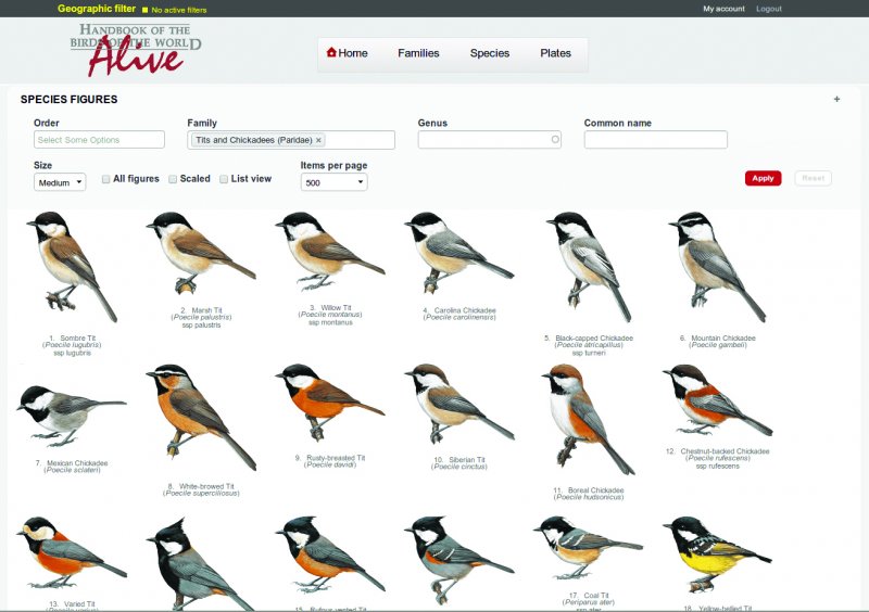 HBW Alive: Handbook of the Birds of the World Alive