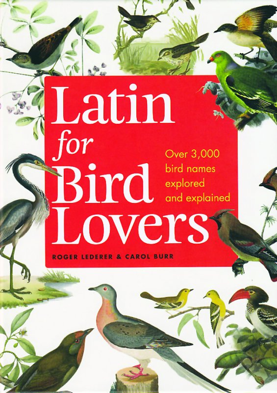Latin for bird lovers