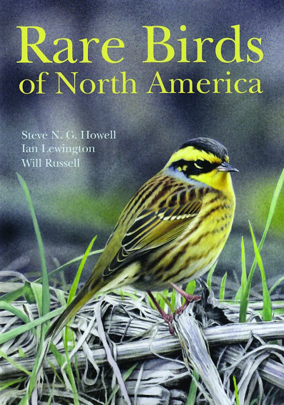 Rare Birds of North America
