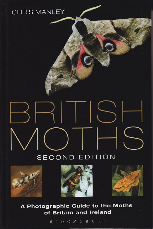 British Moths