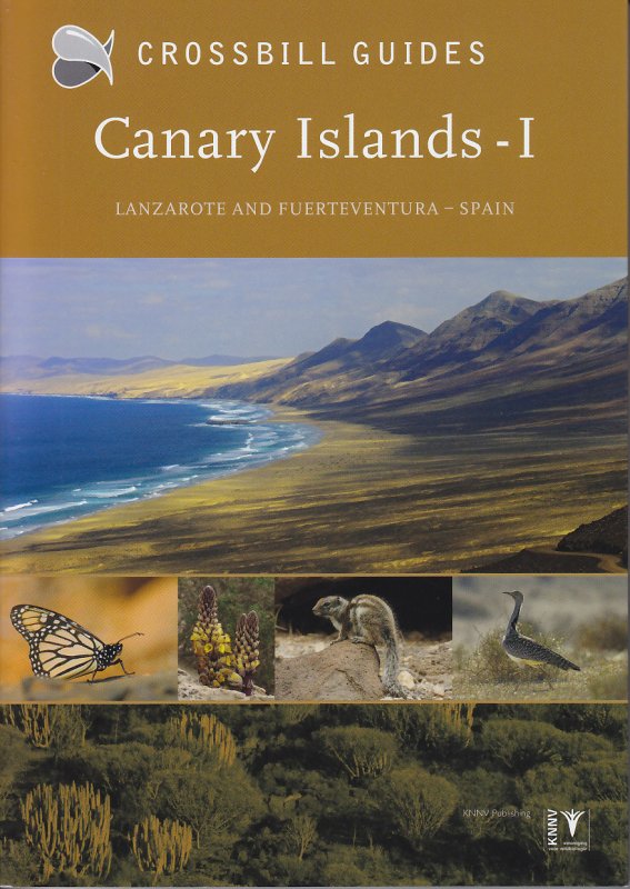 Canary Islands Guide