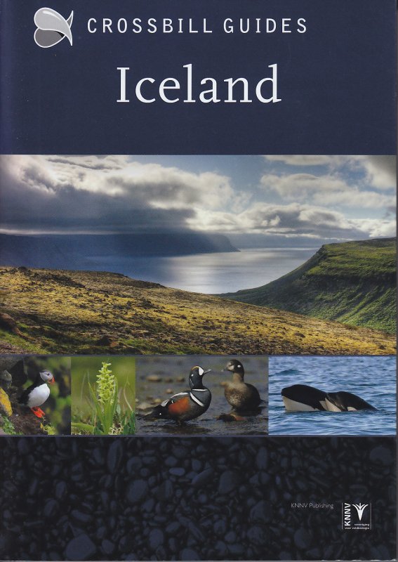 Iceland Guide