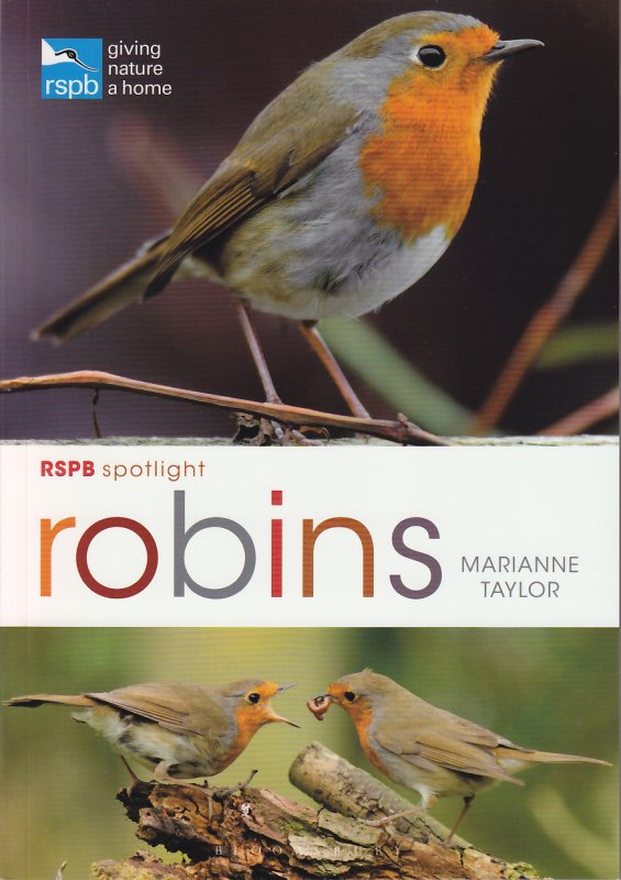 RSPB Spotlight: Robins