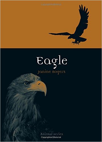Eagle, by Janine Rogers
