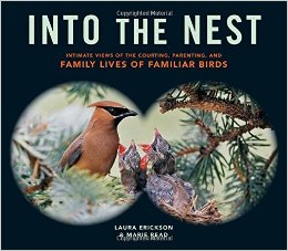 Into the Nest: Intimate Views of the Courting, Parenting, and Family Lives of Fa
