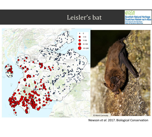 Southern Scotland Bat Survey. 