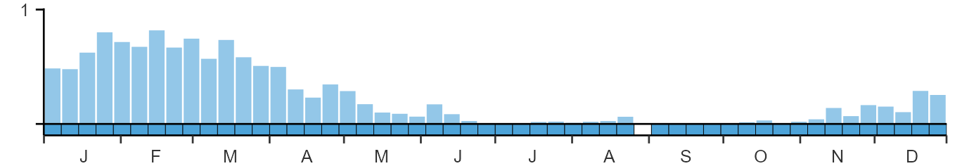 Weekly occurence of Iceland Gull from BirdTrack