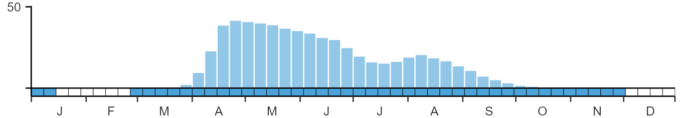 Weekly occurence of Willow Warbler from BirdTrack